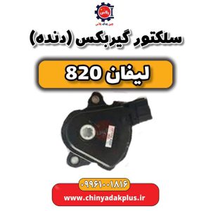 InShot 20240513 132943399