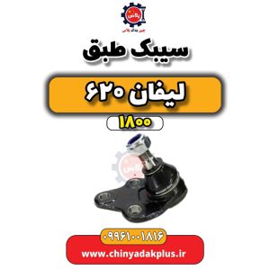 InShot 20240529 161008811