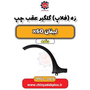 InShot 20240628 204955115