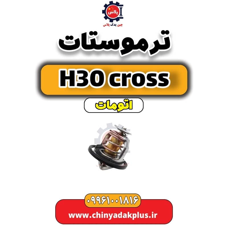 InShot_20240703_130400749.jpg ترموستات دانگ فنگ H30 کراس اتوماتیک - تصویر 1