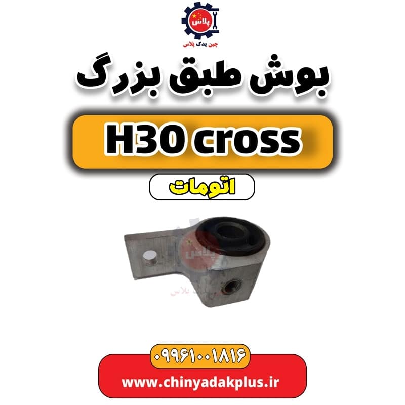 InShot_20240703_130817767.jpg بوش طبق بزرگ دانگ فنگ H30 کراس اتوماتیک - تصویر 1