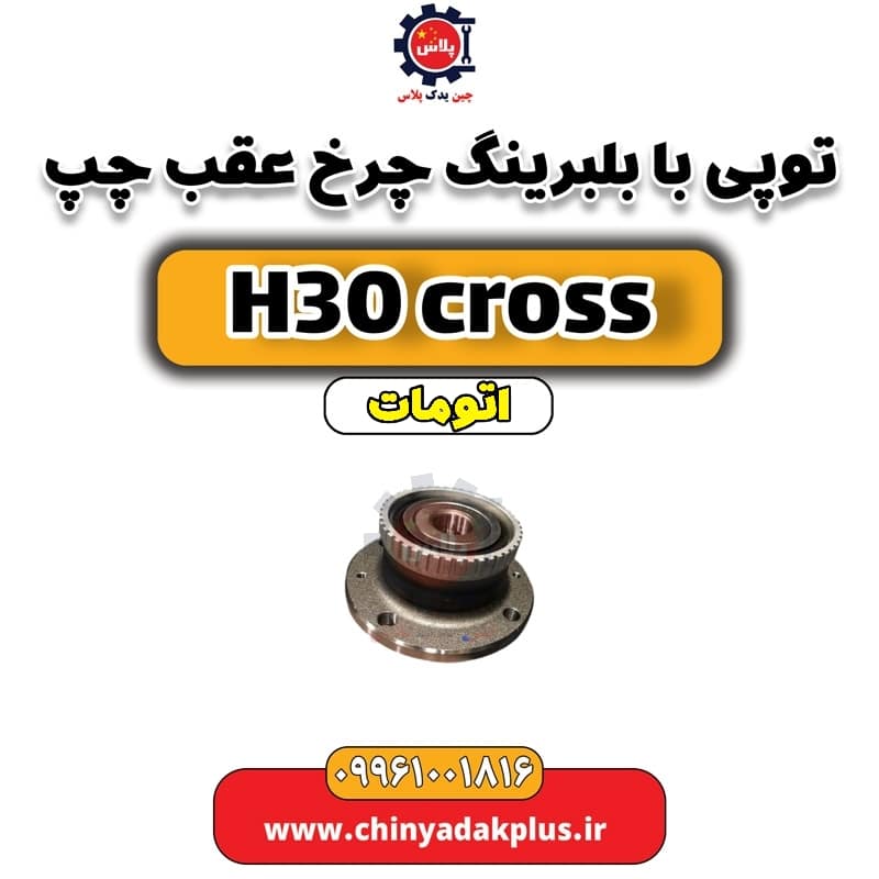 InShot_20240703_131010636.jpg توپی با بلبرینگ چرخ عقب چپ دانگ فنگ H30 کراس اتوماتیک - تصویر 1