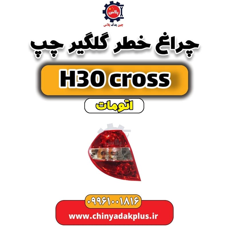 InShot_20240703_131100307.jpg چراغ خطر گلگیر چپ دانگ فنگ H30 کراس اتوماتیک - تصویر 1