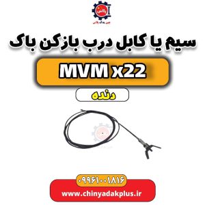 InShot 20240708 194617270
