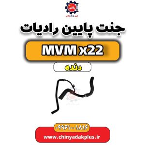 InShot 20240709 012156036