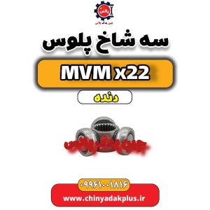 InShot 20240709 012352423