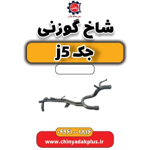 InShot 20240626 152655847